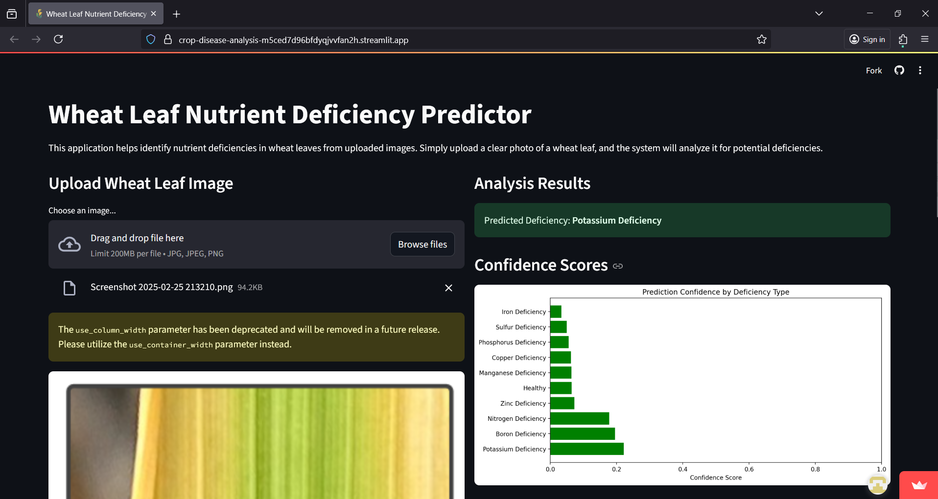 Plant Nutrient Deficiency Detection Using CNN